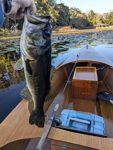 PXL_20241127_212350140