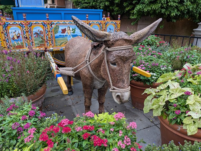 PXL_20251019_215650211